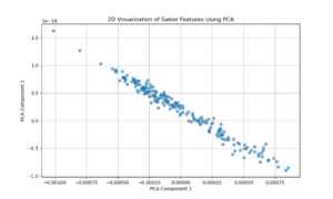 Gabor Features after PCA