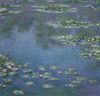 Monet's Water Lilies